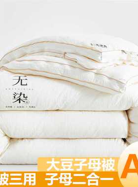 南通A类大豆被原棉母婴级被褥纤维被子被芯二合一棉被冬被子母被