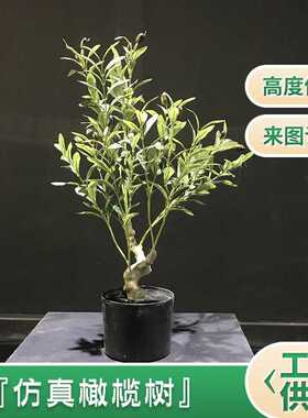 树植物大型旅人蕉盆景 室内家居装饰摆件散尾葵假树绿植盆栽绿植