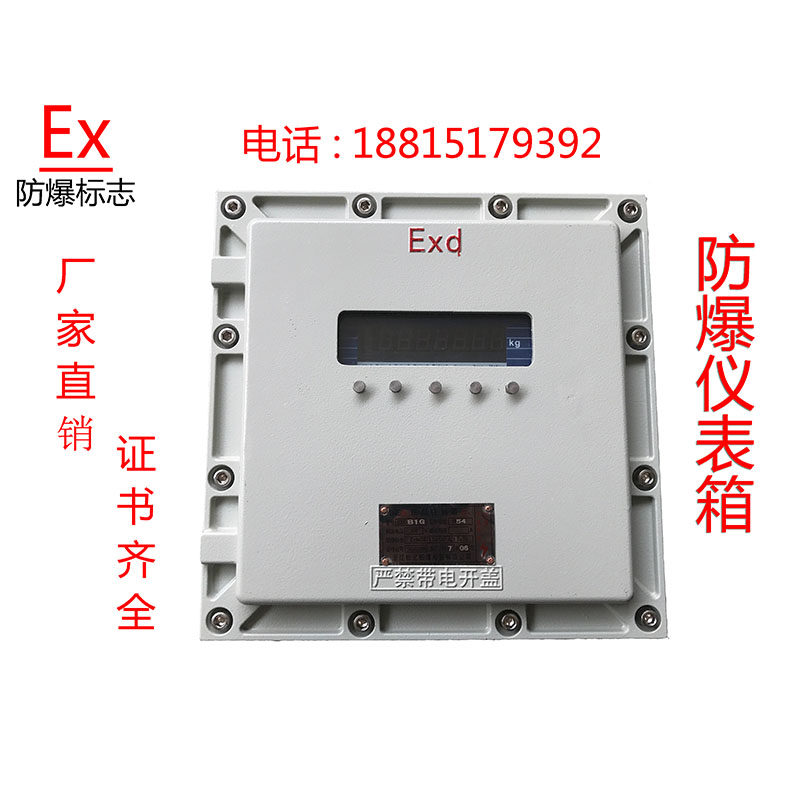 定做防爆仪表箱控制箱按钮箱BXK防爆温控仪称重仪箱PH计流量计