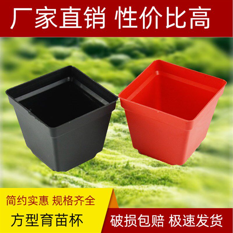 方型育苗杯塑料花盆瓶方型营养杯钵园艺盆栽绿植育苗培植专用红色