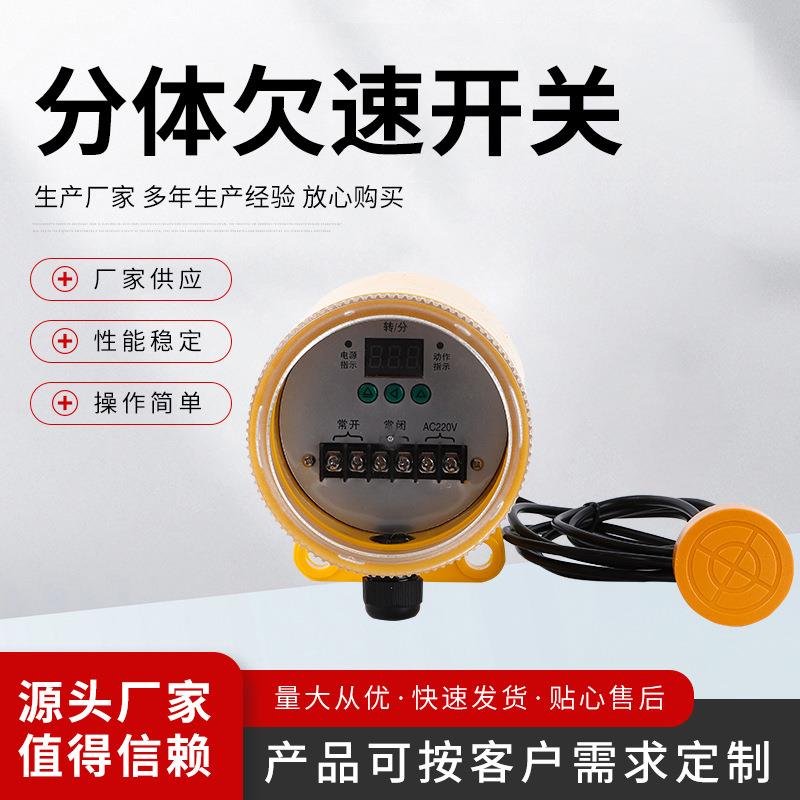 ZGQS-L-23P分体欠速开关 带探头分离式失速开关速度开关