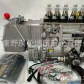 106674 412A和和400912 00374和0402619802 喷油泵 65.11101 7302