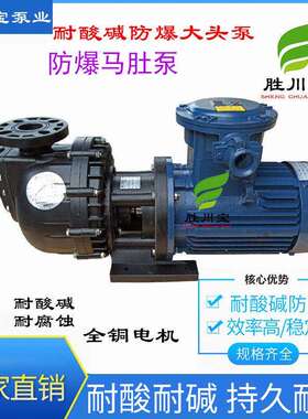胜川宝4KW防爆大头泵 马肚泵 耐酸碱自吸泵75052
