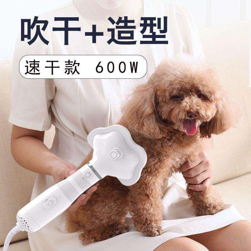 宠物吹风拉毛神器狗狗拉毛机猫咪一体泰迪吹风机洗澡吹干专用