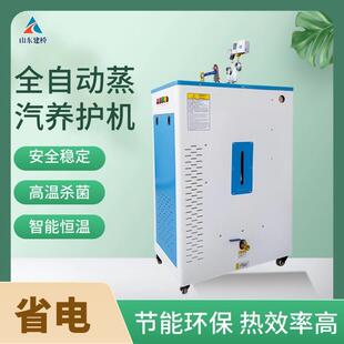 桥梁养护蒸汽机 箱梁T梁空心板梁蒸养设备 食品蒸煮服装熨烫锅炉