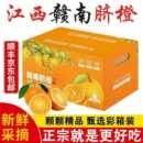 正宗江西赣南脐橙新鲜橙子整箱 多汁现摘产地直发手剥脐橙采摘 包邮