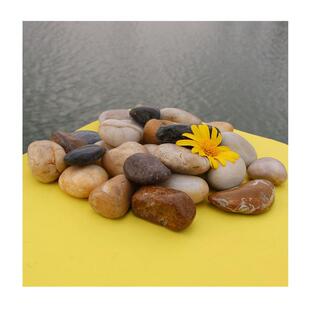 成品石头天然黑鹅卵石雨花石抛光高密度园林路面石子庭院鱼缸造景