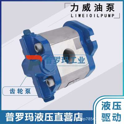 液压齿轮泵3407-00033合肥力威客汽车动力泵转向泵QC12/10-D10WX