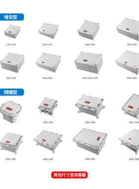 200*200增安型Exe防爆接线箱 300*300隔爆型Exd接线箱 开孔