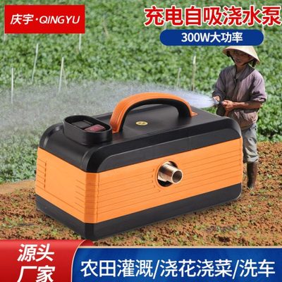 充电式抽水泵静音浇水高扬程雾化园林农田灌溉水泵深井自吸泵