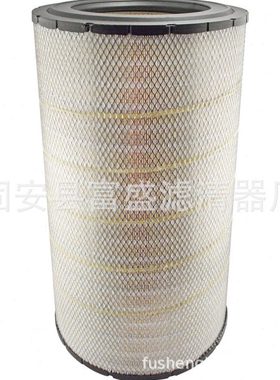 供应RS4989 P781098 AF26207 02250155691 867010485空气滤芯