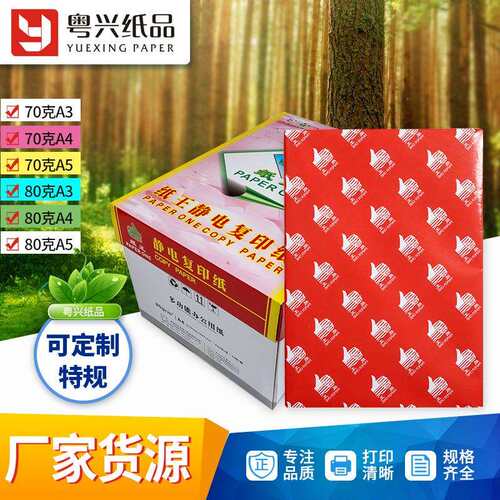 红纸王复印纸 A4纸打印纸整箱 办公用白纸70克80克 文具