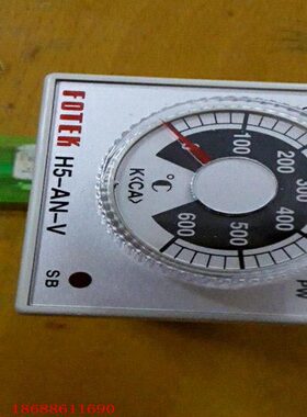 原装台湾阳明FOTEK温控表 温度调节器H5-AN-V6 600度