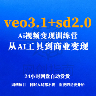 veo3.1+sd2.0Ai视频变现训练营,从AI工具到商业变现