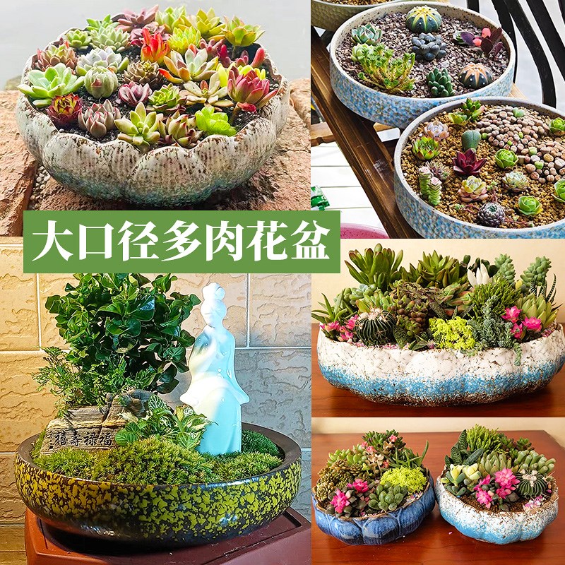 多肉花盆大口径粗陶肉肉植物组合拼盆椭圆L形专用花盆组合花盆陶