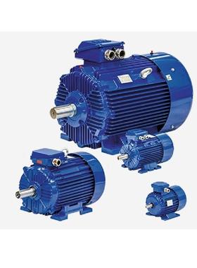 丹麦 BEVI 电机，在降低能源成本的同时提供卓越的性能