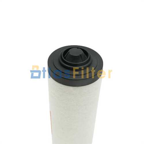 替代BUSCH R5 / RA / RC 0250 C 真空泵排气滤芯