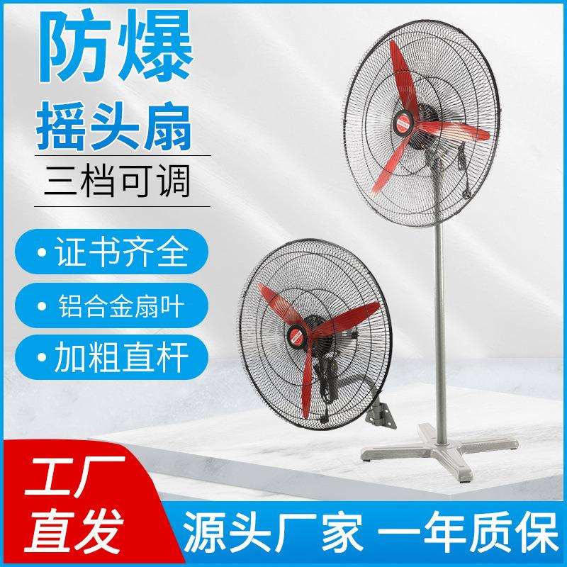FB-500/600/750mm防爆摇头扇排风扇落地式壁挂防爆工业风扇可调速