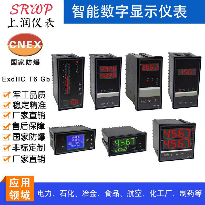 NPXM-2011PA5数显控制仪 数字显示报警器 数显测控仪上海上润仪表
