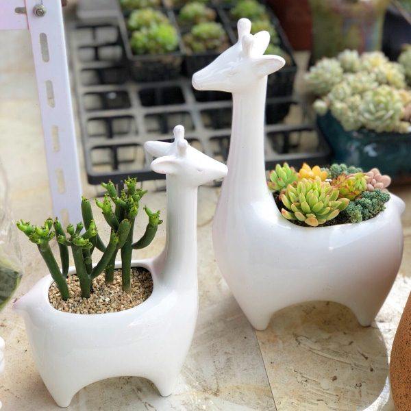 陶瓷花盆陶盆陶土花瓶欧式复古做旧小鹿创意花盆包邮,家居饰品,花盆,淘宝优惠券,粉丝福利购,淘宝优惠卷