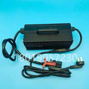 杭叉杭州电动叉车锂电搬运车CBD15-AMC1LI充电机充电器24V20A配件
