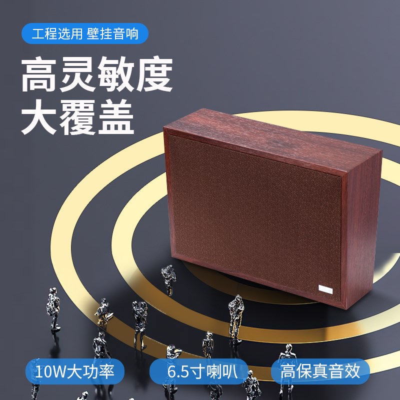 /惠威 TW101 10W木质壁挂音箱公共广播系统喇叭 教室挂壁音响