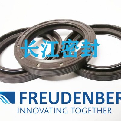 CZ CFW BAUM4SLX7 65-90-8 55-72-8德国进口骨架油封SIMRIT