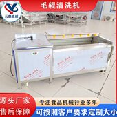 马蹄压喷淋毛辊清洗机 新款 现货荸荠毛辊清洗机 清洗干净效果好
