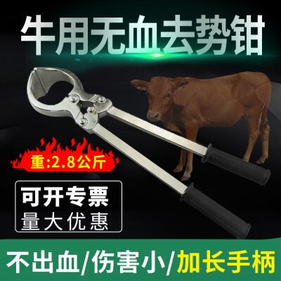 加长加重型牛去势钳煽羊钳无血不锈钢去势钳2.8公斤阉割煽牛钳