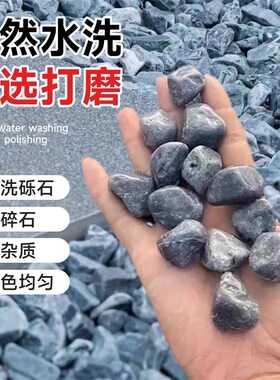 50斤黑色砾石水洗石n庭院枯山水深灰色洗米石子黑色石子石头碎石