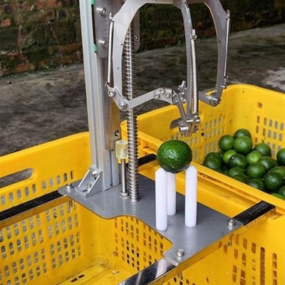 陈皮开皮机自动柑橘开皮机实用剥皮机机开柑皮器橘子开皮刀