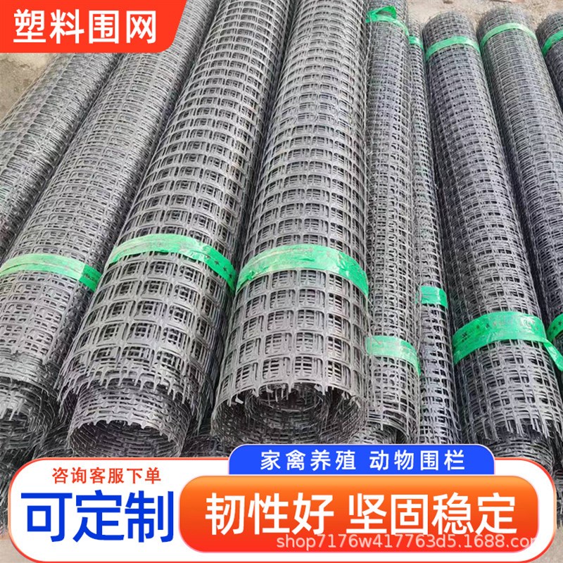 土工格栅养鸡鸭围栏鱼塘果园河道大棚菜园围网漏粪黑色养殖塑料网