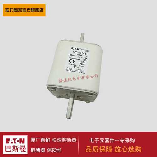 170M6138 6139 6140 6141 6142 6143 6144 6145 6146 6147熔断器