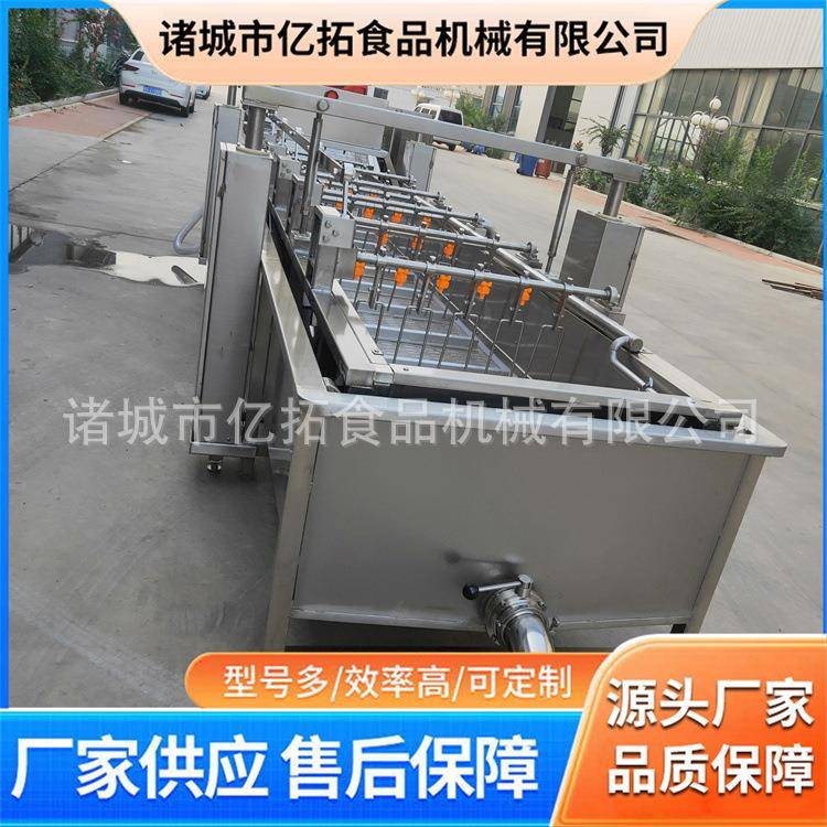 气泡清洗机龙眼西梅加工清洗设备果蔬加工机器售后完善