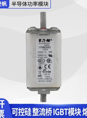 170M1571 170M2764 170M3423 170M4066 170M6712巴斯曼熔断器现货