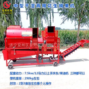 中型花生摘果机干湿两用自动进料自动装袋电机/柴油机配套效果好