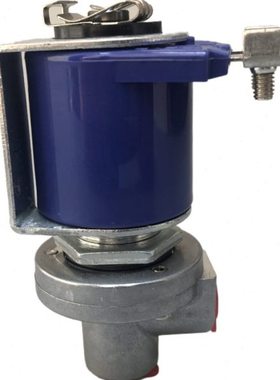 一分电磁阀 RCA3D2先导阀 电压齐全 紫色电磁阀