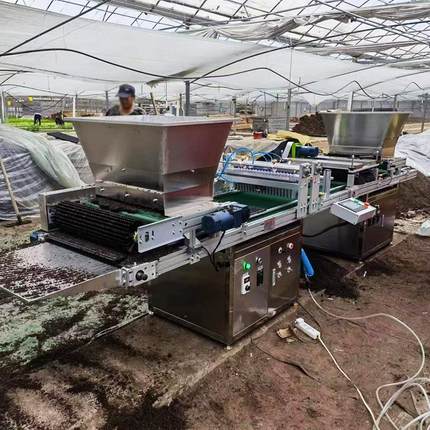 蔬菜大棚自动育苗机全自动针吸式穴盘播种机漂盘装土播种覆土机