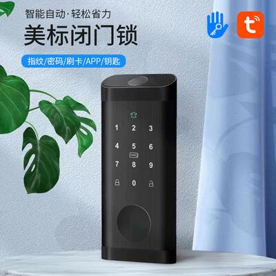 呆锁闭锁木门指纹锁刷卡密码锁涂鸦通通TTLOCK锁门锁家用锁智能锁