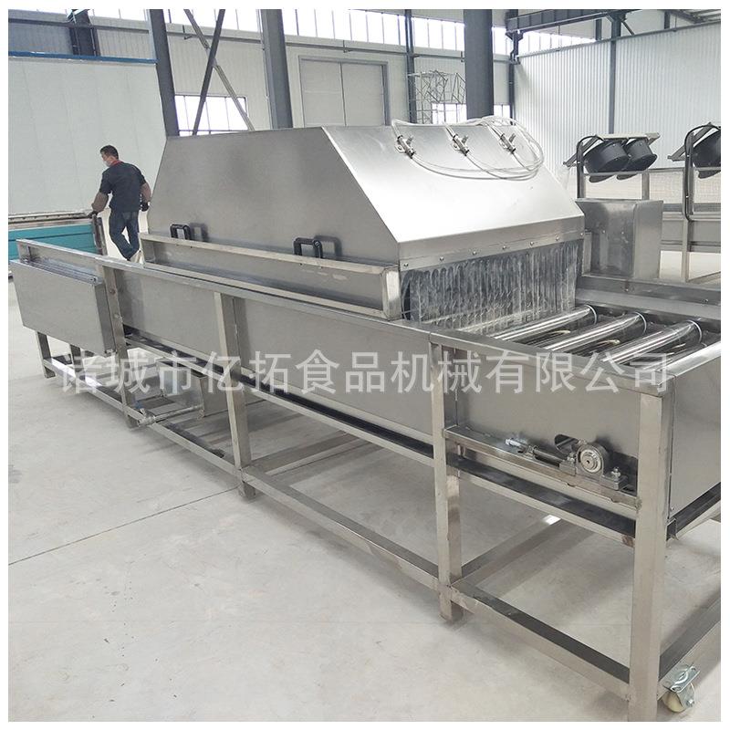 QP-5000水果清洗机车厘子柑橘快速清洗机蔬菜清洗机厂家