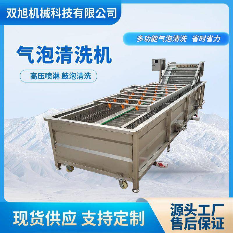 花生大豆气泡清洗机商用草莓荔枝水果清洗机水果蔬菜清洗设备