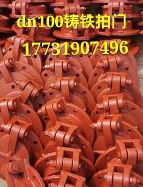 水库拍门 铸铁dn100 150 200 300 400 600 800mm 1米渠道鱼塘污水