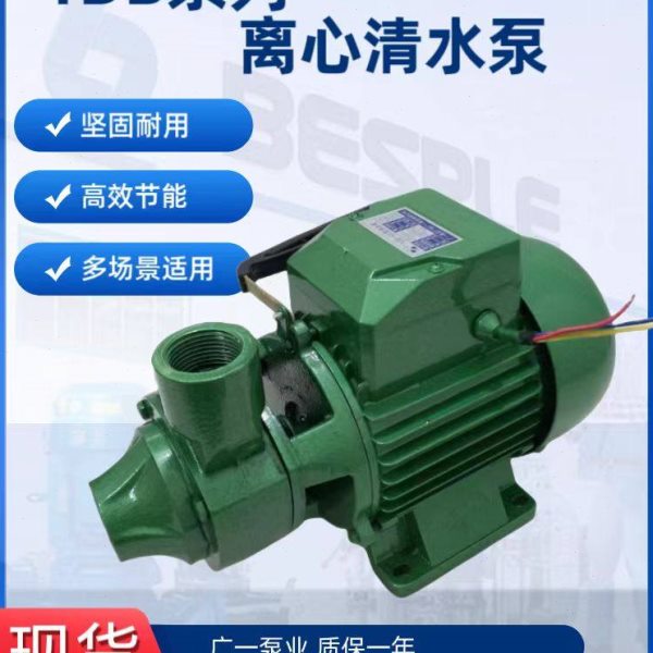 广州一泵1DB-45型清水泵 家用增压泵550W清水泵 广一泵业清水泵图片