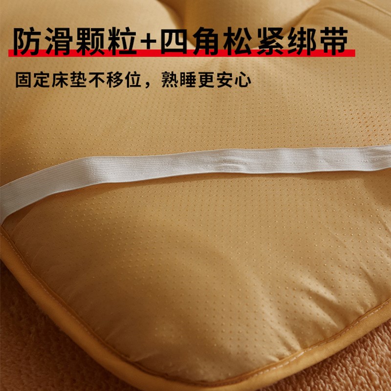 羊羔绒加厚保暖床垫软垫家用学生宿舍单人床褥垫褥子垫被被褥铺底