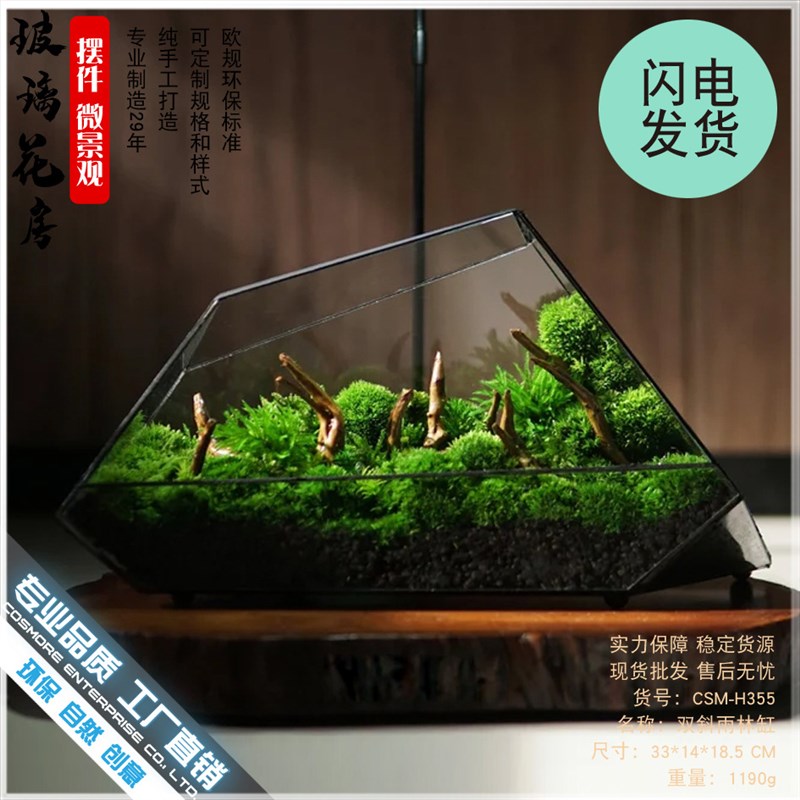 雨林缸苔藓微景观几何玻璃器皿罩盒子家居摆件微缩森林造景花盆器