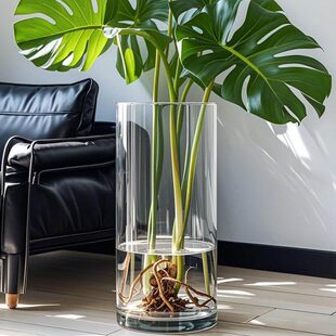 养大号龟背竹专用花瓶大口径高4030厘米宽口透明玻璃水培器皿花盆