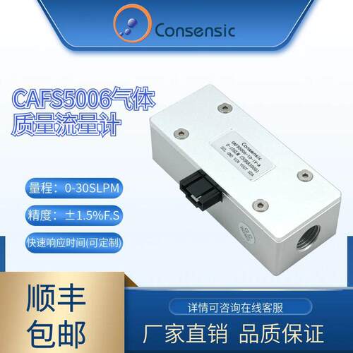 工业气体质量流量计CAFS5006流量计厂家