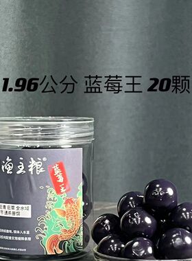 一珠渔主大黑坑青鱼草鱼珠口村长粮物珠珠假饵珠珠假饵