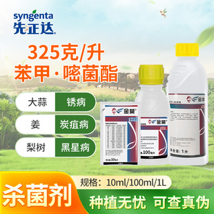 翼选金棠阿米妙收苯甲嘧菌酯辣椒炭疽叶斑纹枯蔓病杀菌剂