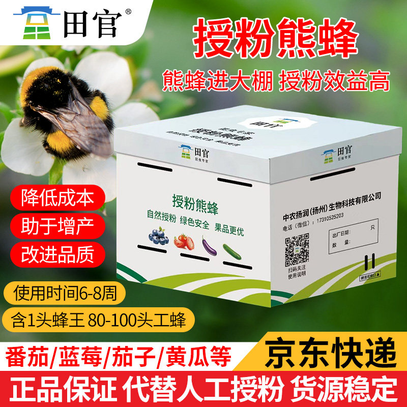 授粉熊蜂雄蜂番茄甜瓜授粉草莓蓝莓授粉约100只（蜂王工蜂）6-8周